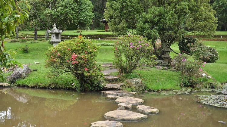 Avenue Nuwara Eliya Appartement Buitenkant foto
